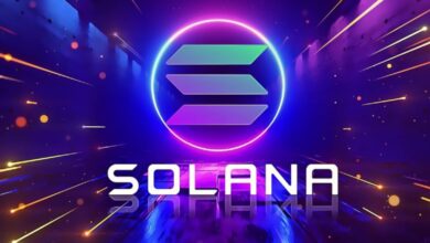 solana1 Detafour