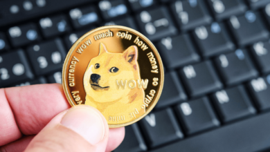 dogecoin Detafour