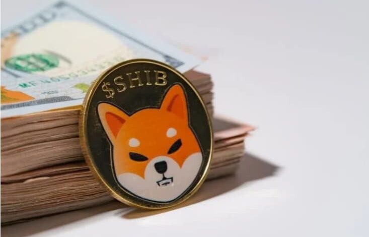 shiba coin Detafour