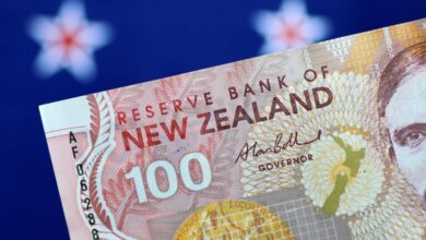 nzd Detafour