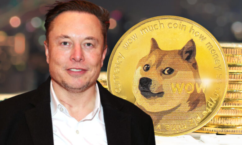 Elon Musk fait de nouveau monter le cours Dogecoin DOGE avec un tweet Detafour