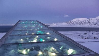 svalbard seed vault 62 Detafour