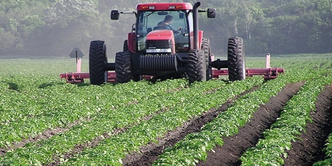 Agriculture Maroc Detafour