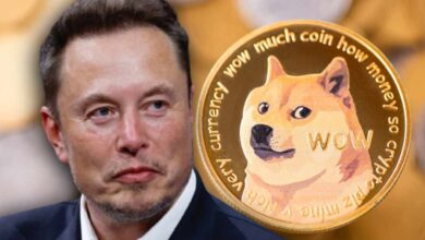 elon musk dogecoin Detafour