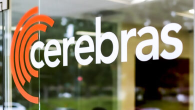 Cerebras logo on door 2 Detafour