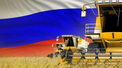 Russia wheat field combine DANCING MAN STOCK.ADOBE .COM e Detafour