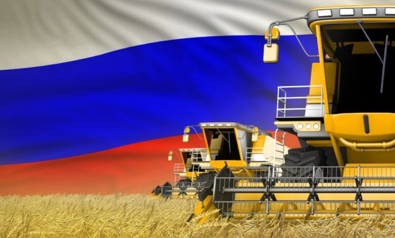 Russia wheat field combine DANCING MAN STOCK.ADOBE .COM e Detafour