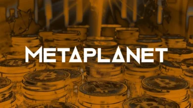 metaplanet 1 Detafour