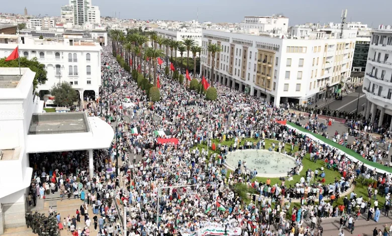 marche palestine manifestant Detafour