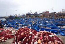 Essaouira Hafen Atlantik Detafour