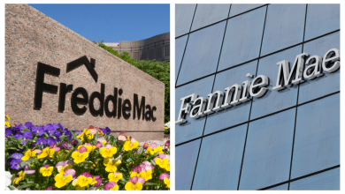 fannie mae and freddie mac Detafour