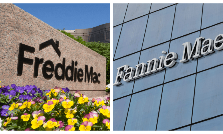 fannie mae and freddie mac Detafour