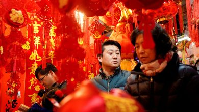 Chinese Lunar New Year decorations Detafour