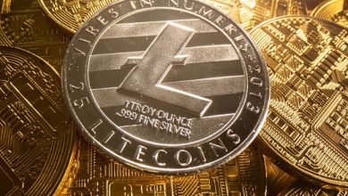 Litecoin 800x533 L 1637104572 Detafour