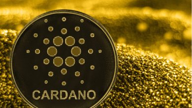 Cardano 800x533 L 1556444760 Detafour