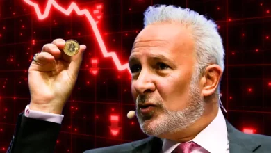 Peter Schiff Warns of Potential Bitcoin Price Crash as Saylors Strategy To Backfire 1024x536 1 Detafour