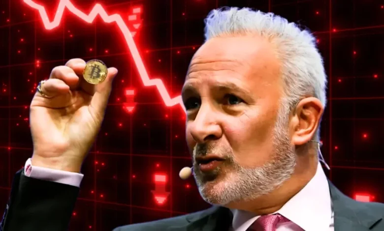 Peter Schiff Warns of Potential Bitcoin Price Crash as Saylors Strategy To Backfire 1024x536 1 Detafour