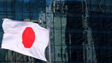 japan Detafour