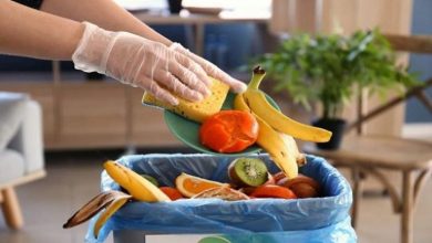 210 214436 food waste stores restaurants households europe 700x400 Detafour