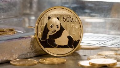 IMG16651Pakistan Panda Bonds Detafour