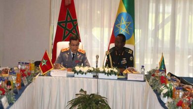 Le Maroc renforce sa presence en Afrique une cooperation militaire croissante avec lEthiopie Detafour