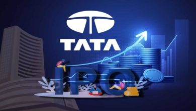 tata ipo1200 1740468904 Detafour