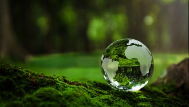 AdobeStock 543104806 Detafour