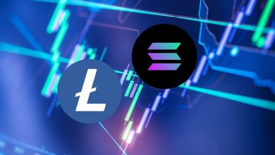 ChangeNow LTC And SOL Detafour