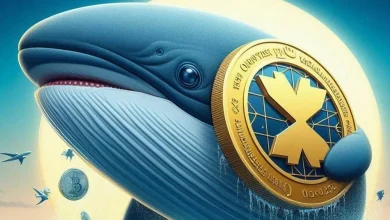 XRP Whales Detafour