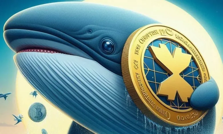 ارتفاع نشاط الحيتان يرفع التوقعات بصعود قوي لعملات ريبل وسولانا 1 XRP Whales Detafour