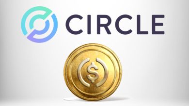 circle usdc 810x524 1 Detafour