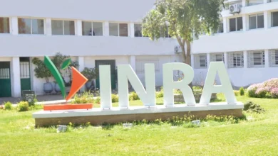 institut inra 1746781973 Detafour