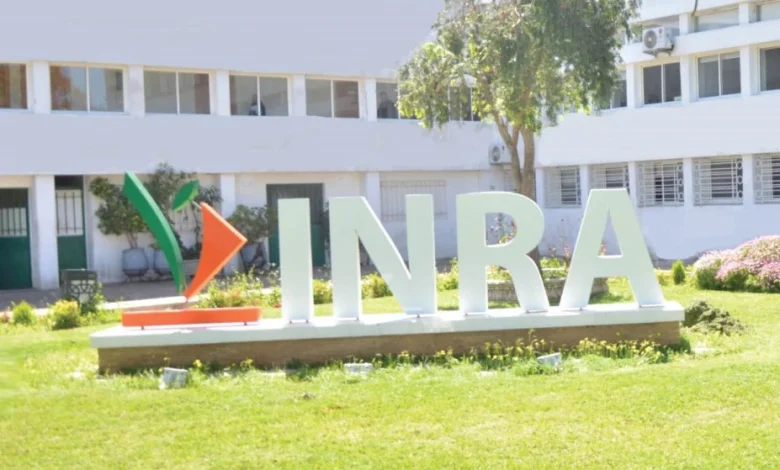 تعاون بين المعهد الوطني للبحث الزراعي وSyngenta لتحسين إنتاجية المحاصيل في المغرب 1 institut inra 1746781973 Detafour