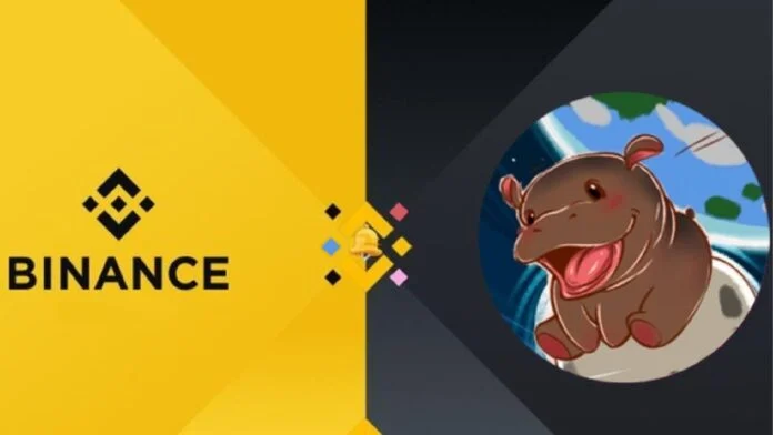 عمله Moo Deng تشهد ارتفاعاً ملحوظاً بعد إدراجها على منصة Binance Alpha 1 moodengs 10x rally post binance alpha debut sparks binance spot listing speculation 696x392 1 Detafour