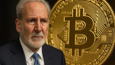 peter schiff bitcoin 915x515 1 Detafour