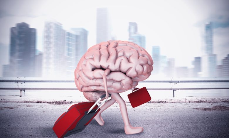 تحفيزات حكومية للأطر والمهندسين لمواجهة تحديات هجرة الكفاءات 1 shutterstock 334604402 Detafour