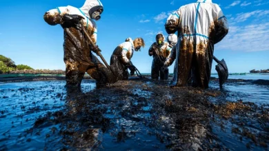 volunteers clean ocean coast oil 600nw 1801591879.jpg Detafour