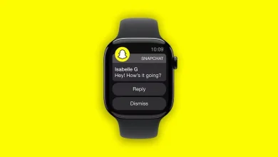 cecd86b823 snapchat applewatch Detafour
