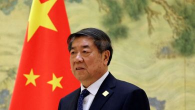 china Detafour