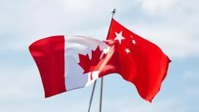china Detafour