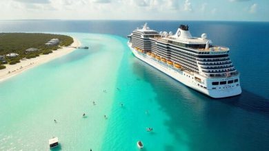 cruise 1 2 850x582 1 Detafour