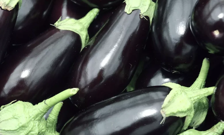 الباذنجان المغربي يواجه تراجعًا في الإنتاج وارتفاعًا في الصادرات 1 vegetables aubergines title.jpg Detafour