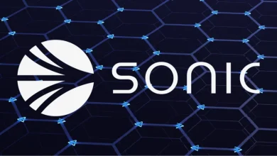 what is sonic coin 1024x512 1 Detafour